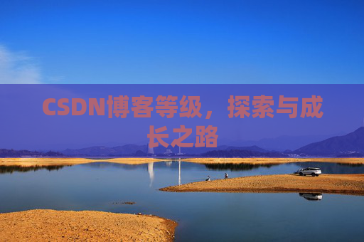 CSDN博客等级，探索与成长之路